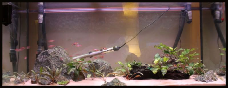 tank04_03_2012.jpg