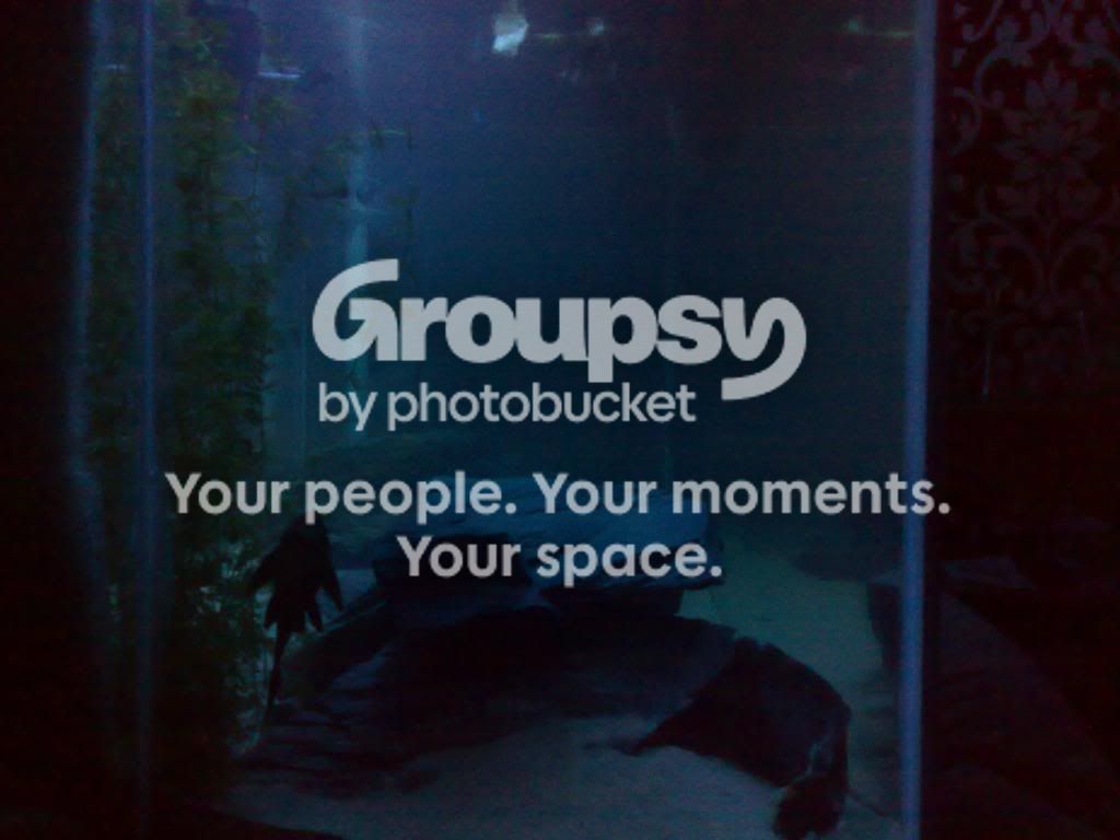08052009292.jpg