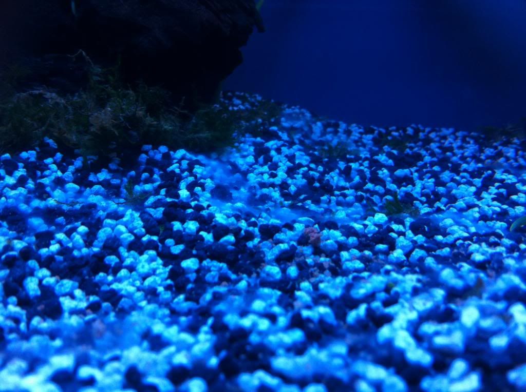 photo2.jpg