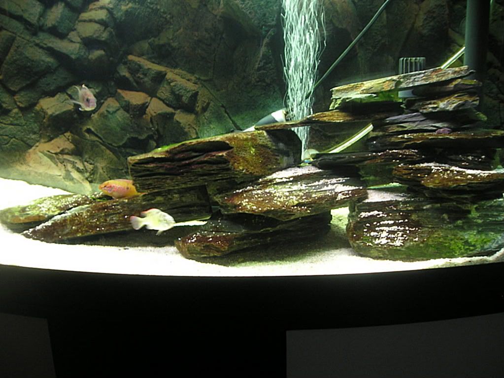 P1010138.jpg