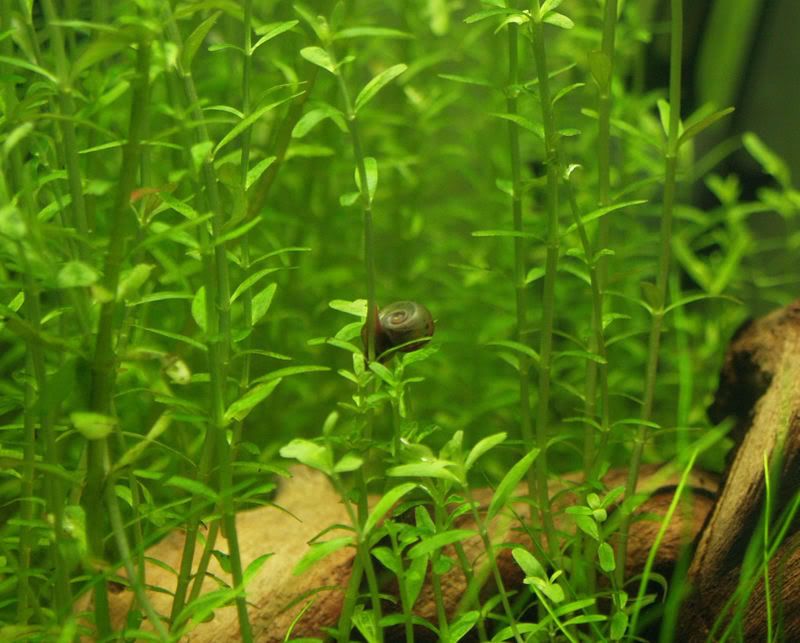 Cleancube007.jpg