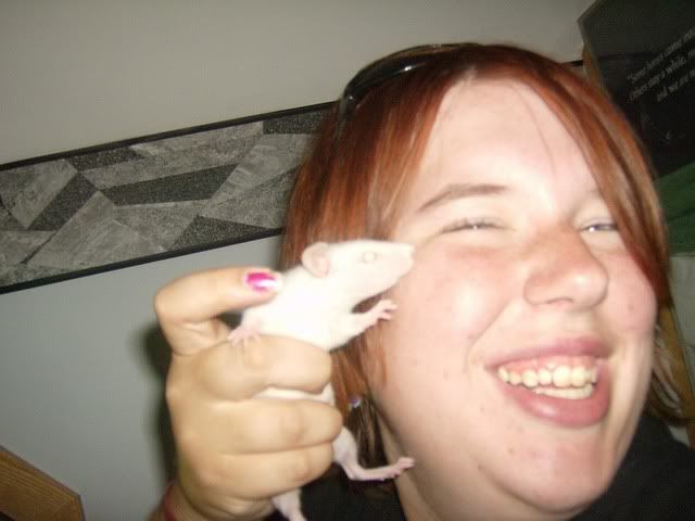 Rats031.jpg