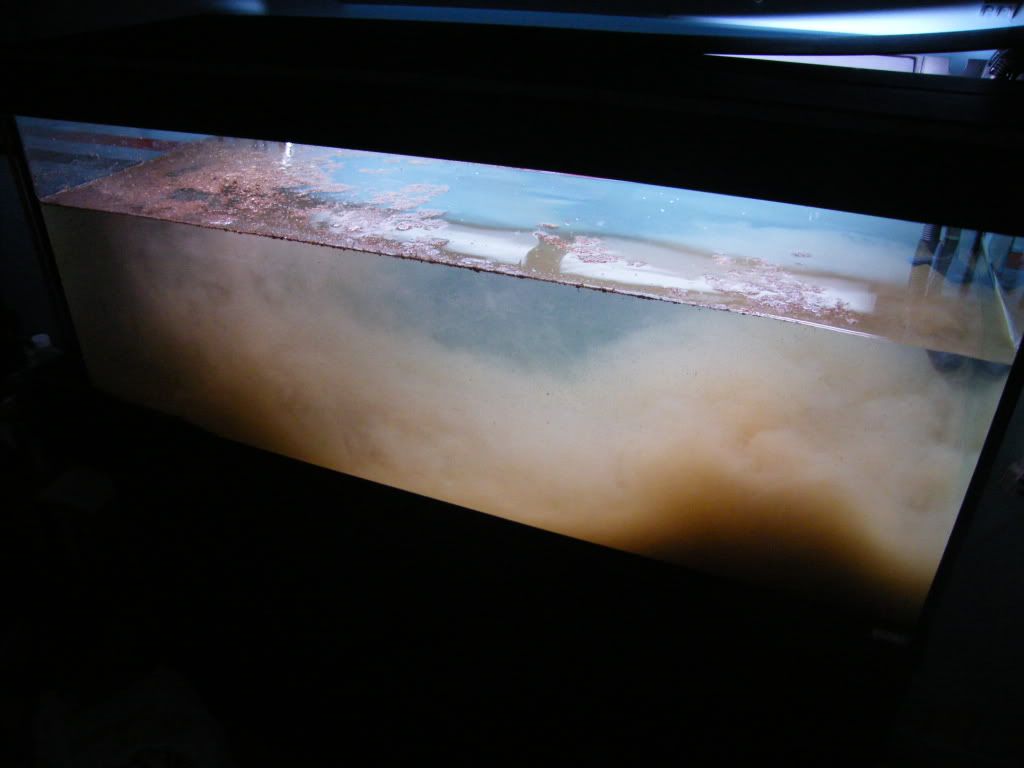 DSCF4569.jpg