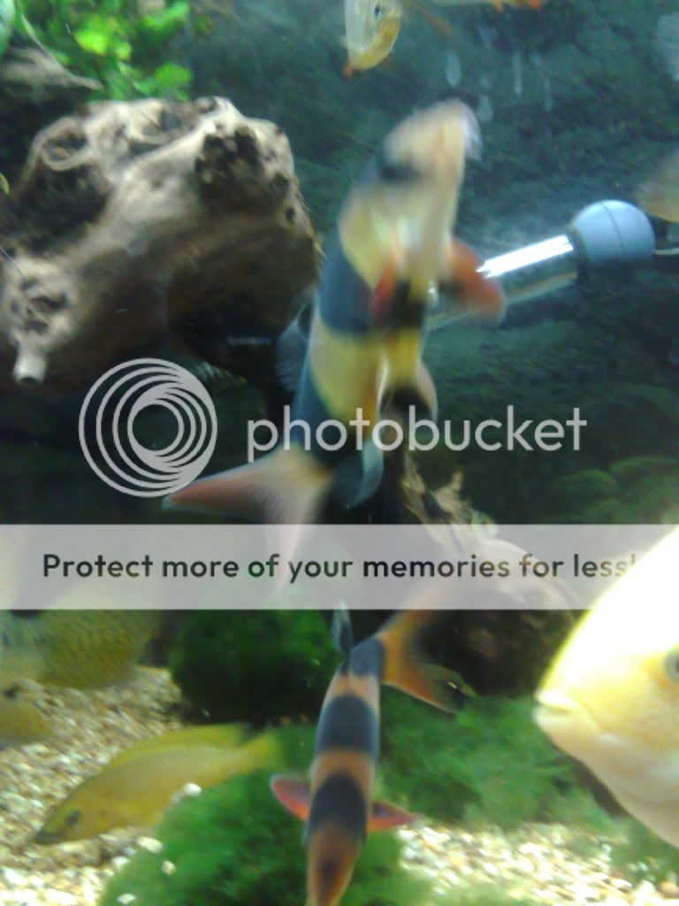 07052009242.jpg