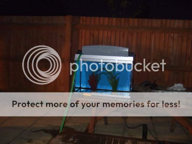 2008_10120324.jpg