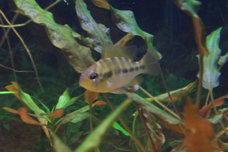 100_2869.jpg