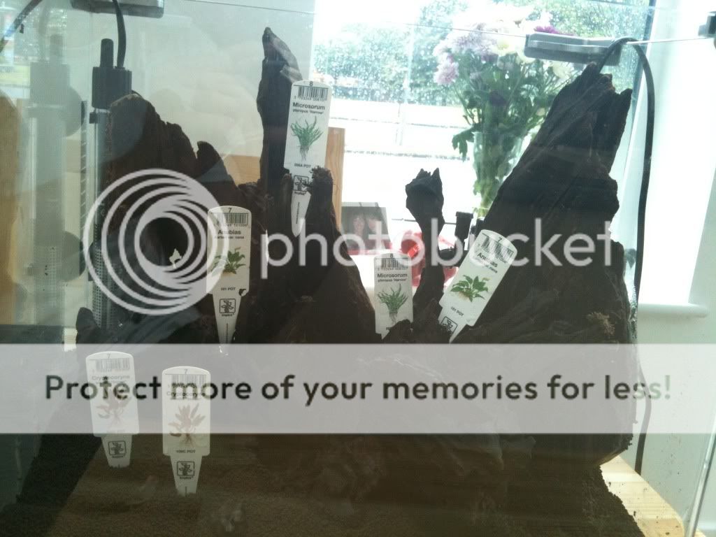 IMG_0796.jpg