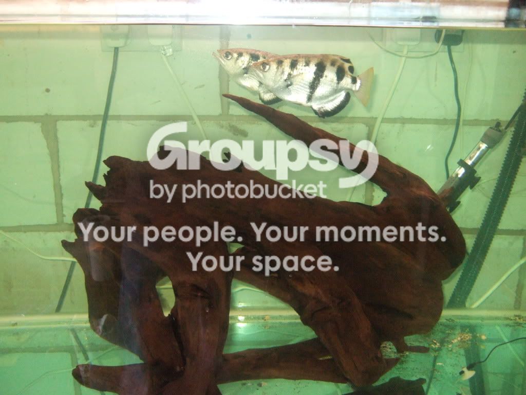 2010_09050482.jpg