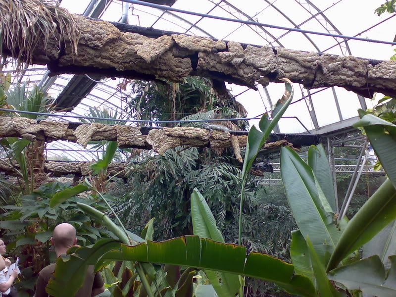 23032007226.jpg
