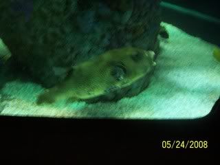 100_3221.jpg