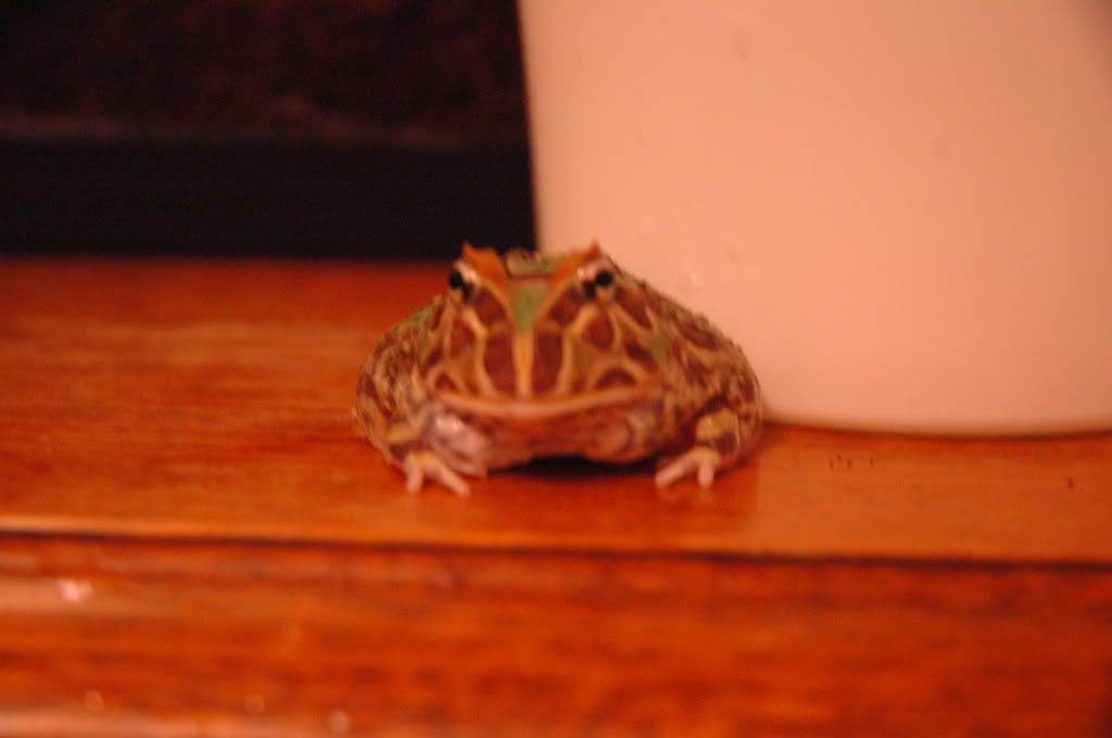 DSC_4145.jpg