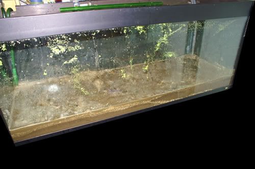 Stage4AddedSubstrate3.jpg
