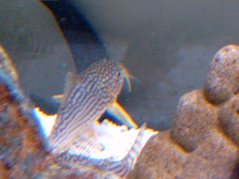 8b291794.jpg
