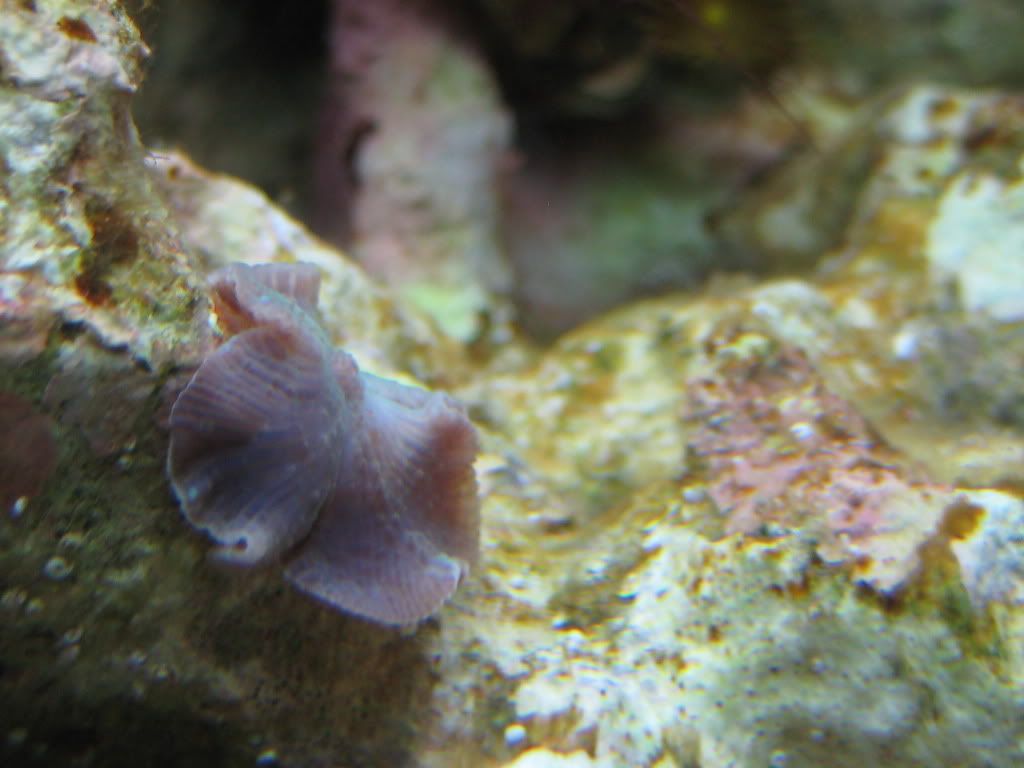 IMG_2846.jpg