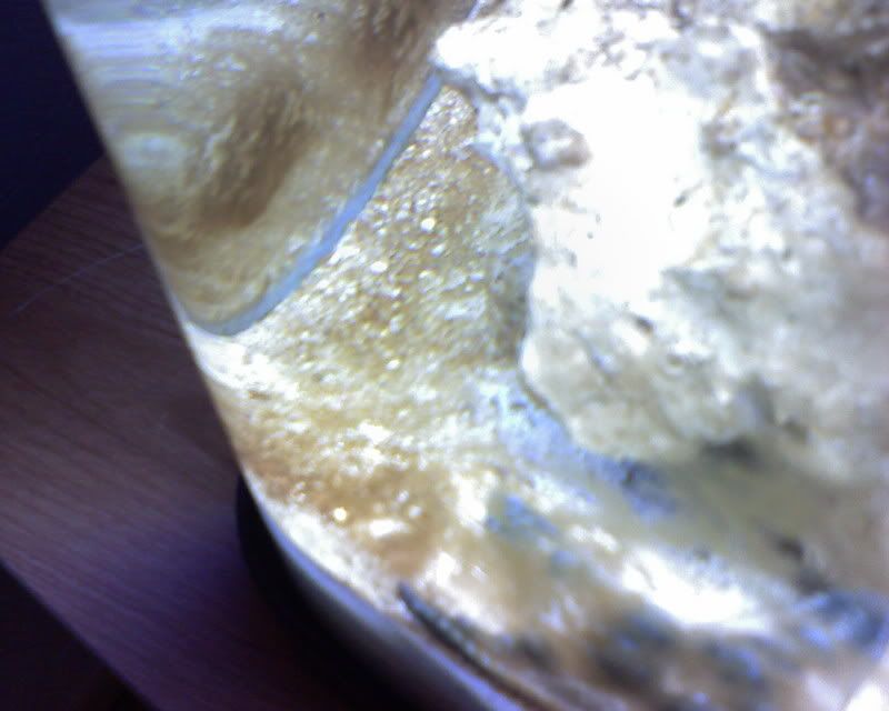 IMAGE_022.jpg