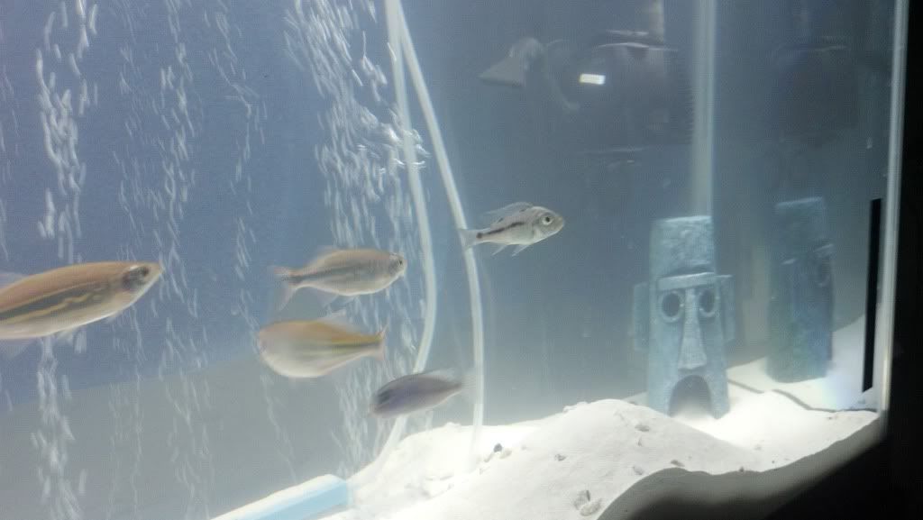 2012-03-29_19-44-17_105.jpg