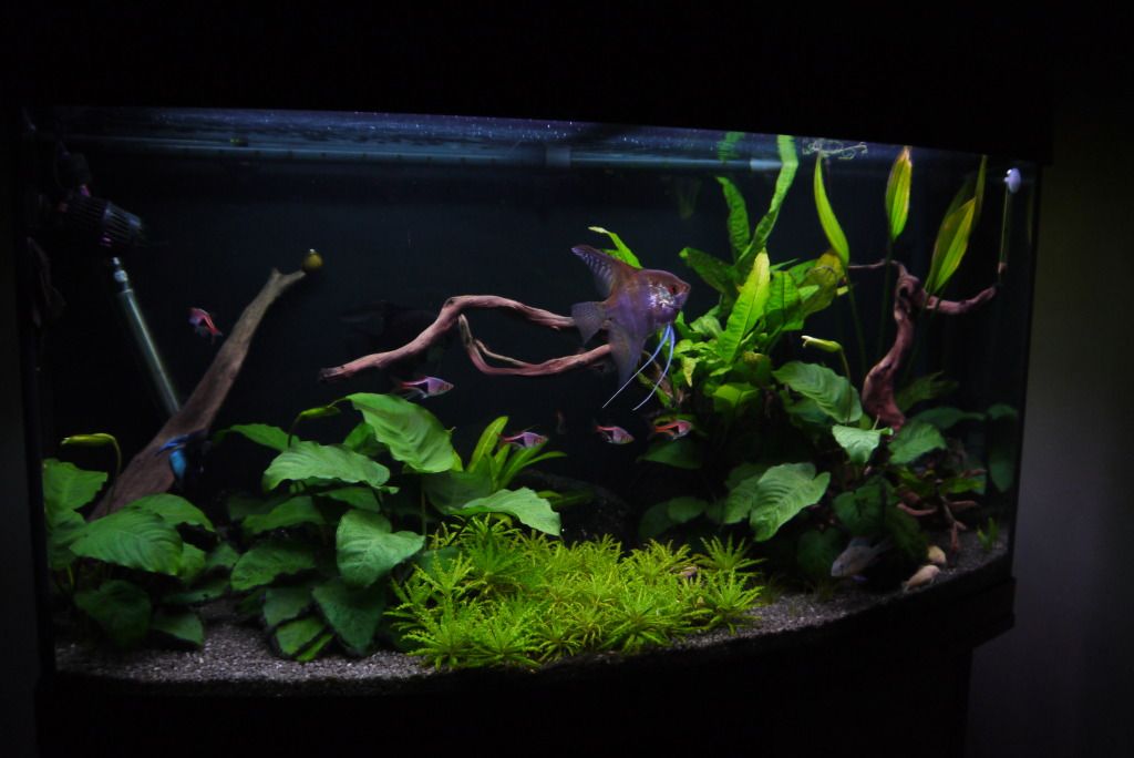 P1010413.jpg