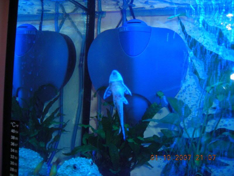 DSCN0212.jpg