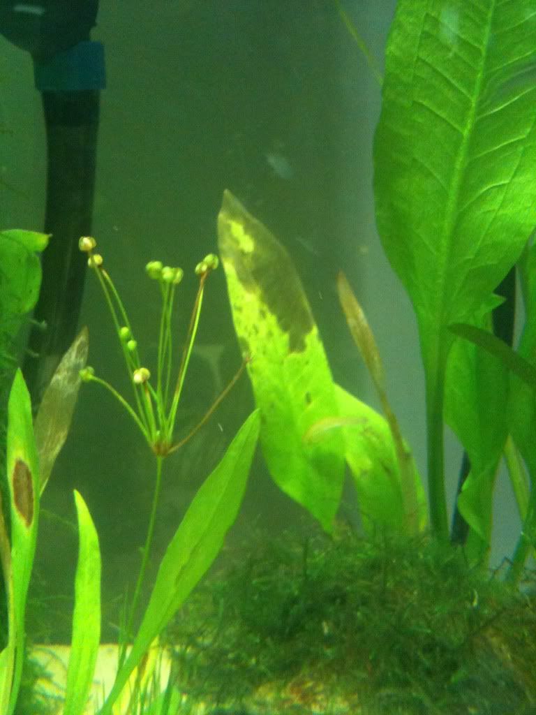 IMG_0320.jpg