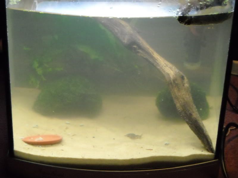 DSCN1021.jpg
