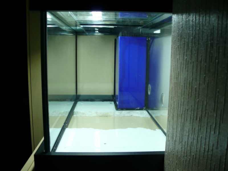 June09119.jpg