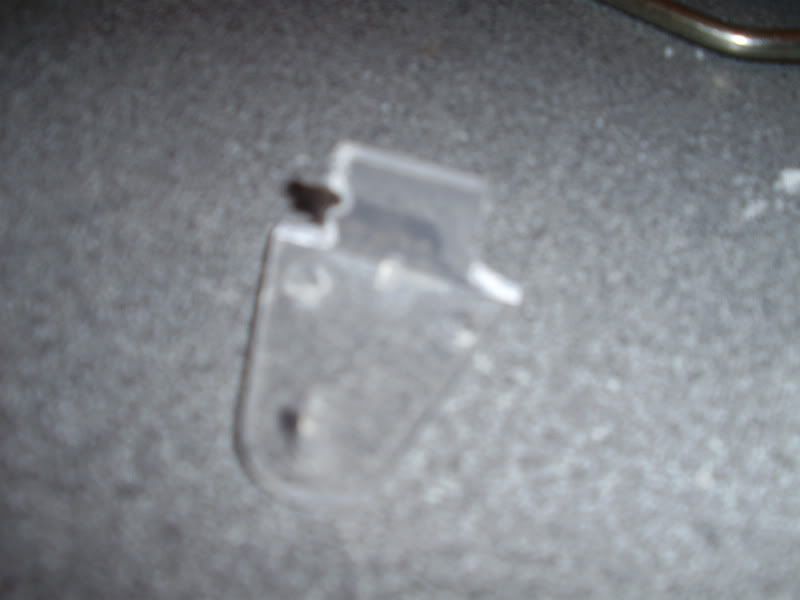 P81900073.jpg