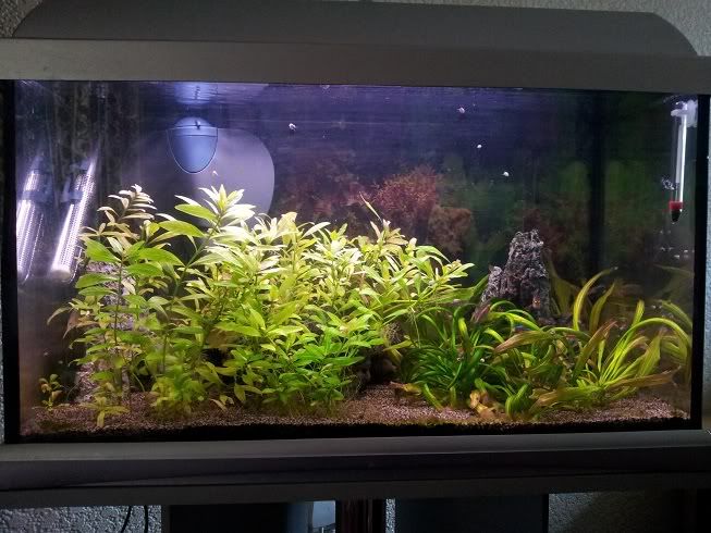Fulltankold.jpg