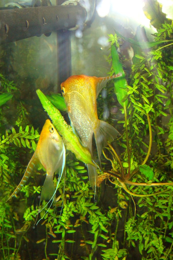 DSC09083.jpg