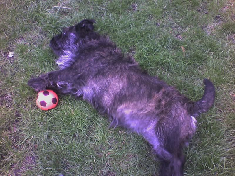 Picture0126.jpg