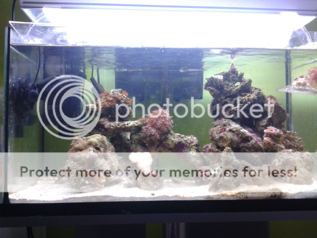 2012-08-13181942.jpg