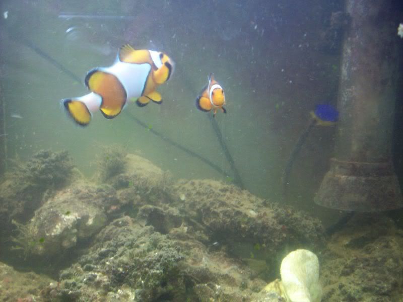 100_7875.jpg