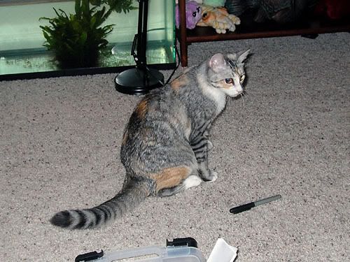 DSCN4854.jpg