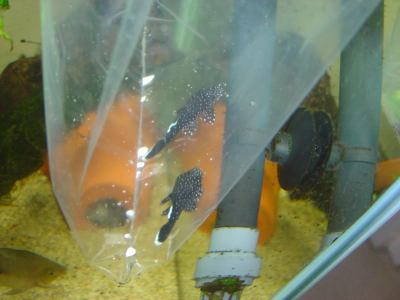 DSC02413-1.jpg