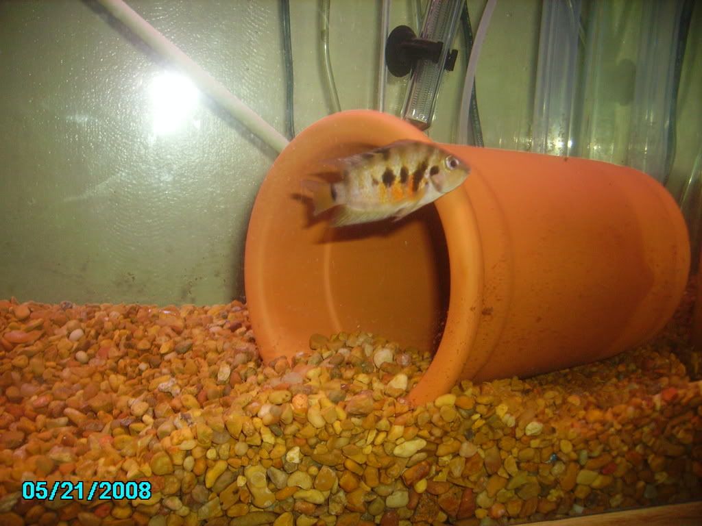 PICT0006.jpg