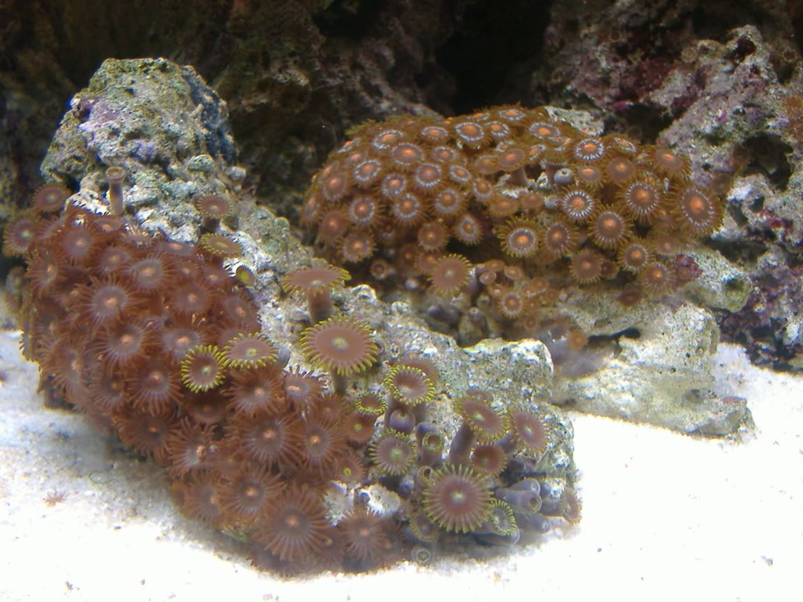 DSCF0505.jpg