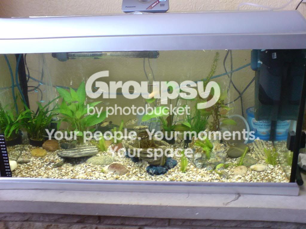 DSC00003-1.jpg
