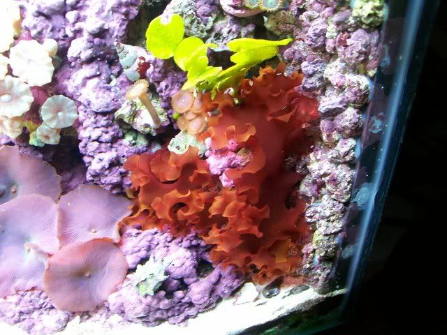 Picture075.jpg