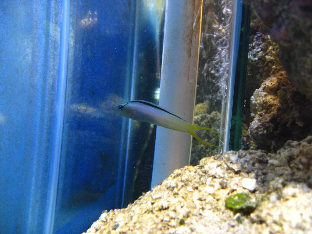 IMG_0577.jpg