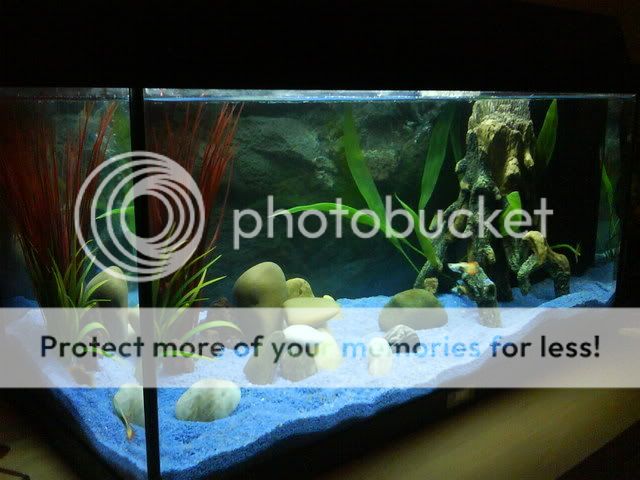 DSC00616.jpg