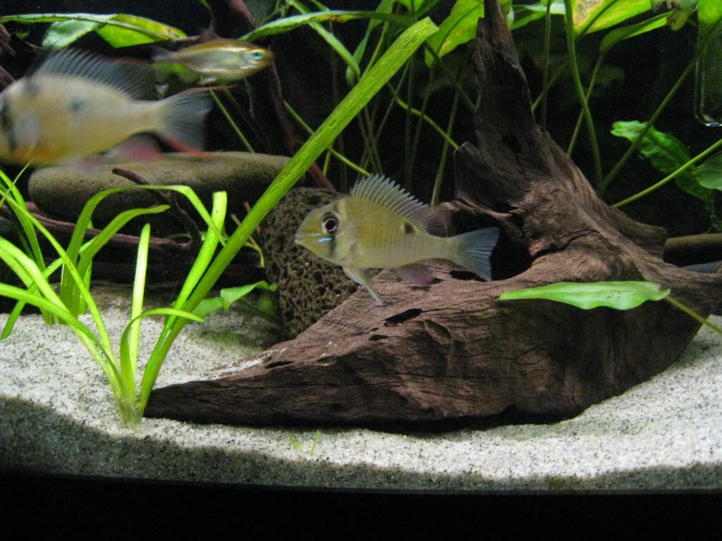 IMG_1235.jpg