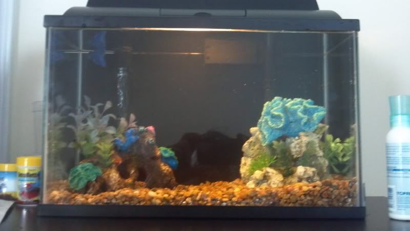 2012-10-06_12-54-29_322.jpg