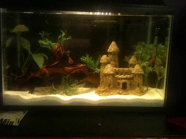 newtankdone.jpg