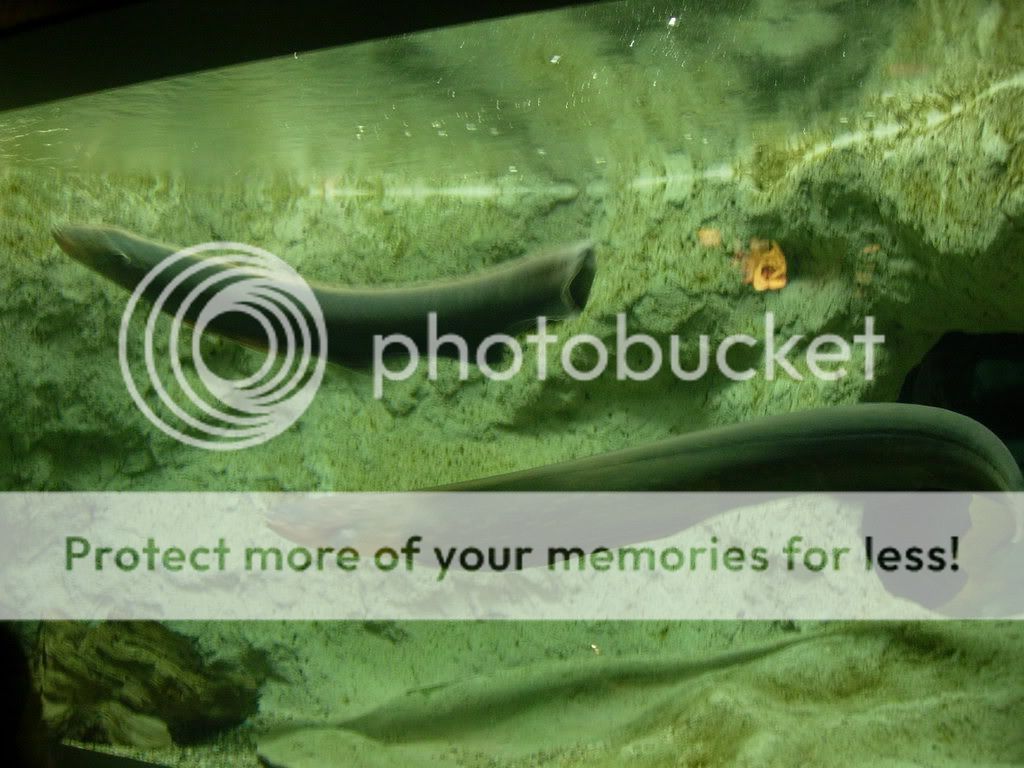 2008077.jpg