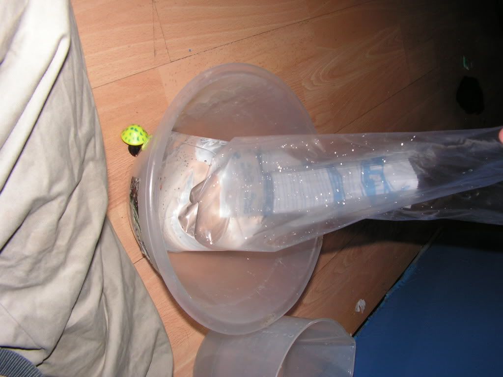 PICT0561.jpg