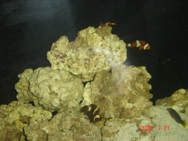 DSC06995.jpg
