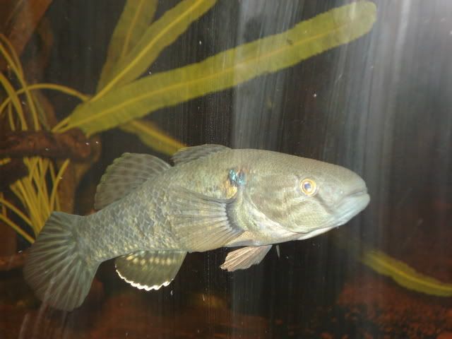 DSC01700.jpg