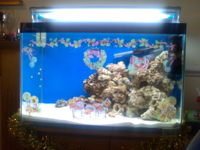 05122006091.jpg