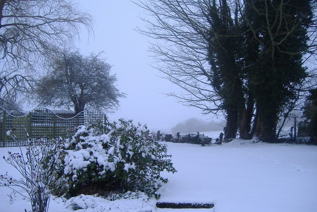 DSCF0875.jpg