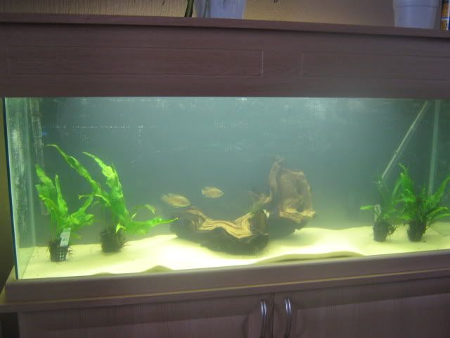 011-18.jpg
