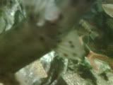 IMG00530-20090329-1900.jpg